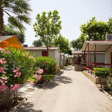 Villaggio Albergo Cervo 자포네타 외부 사진