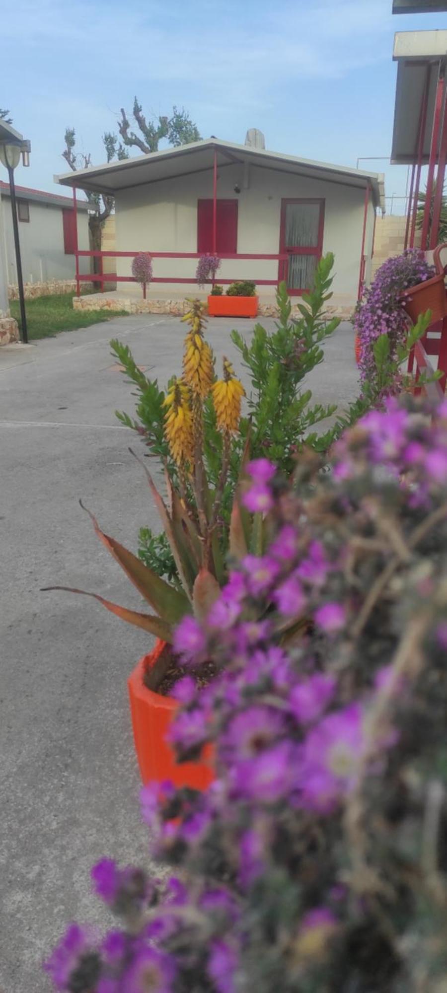 Villaggio Albergo Cervo 자포네타 외부 사진